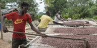Eine Person breitet Kakaobohnen zum Trocknen aus.